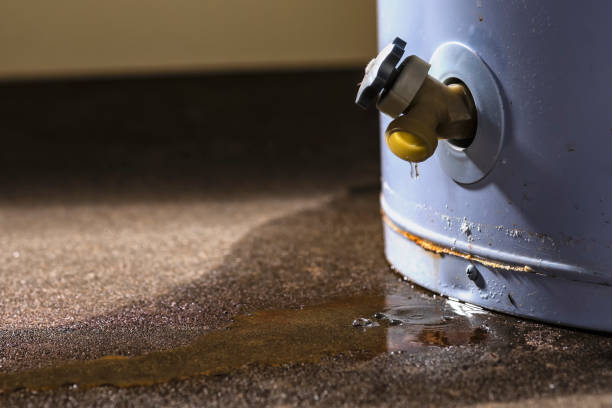 Best Sewage cleanup and water damage restoration  in Louisa, KY