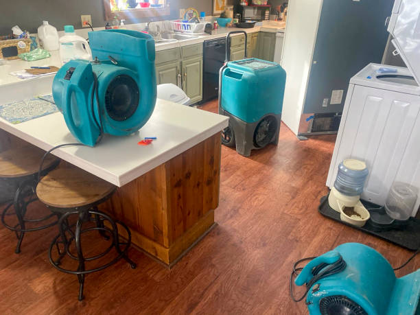 Best Emergency water damage restoration  in Louisa, KY