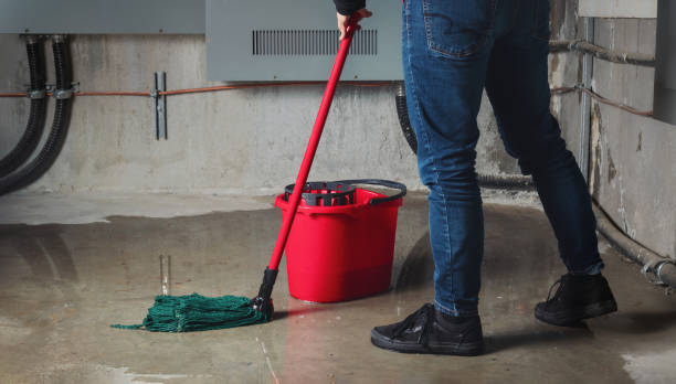 Best Emergency water extraction  in Louisa, KY
