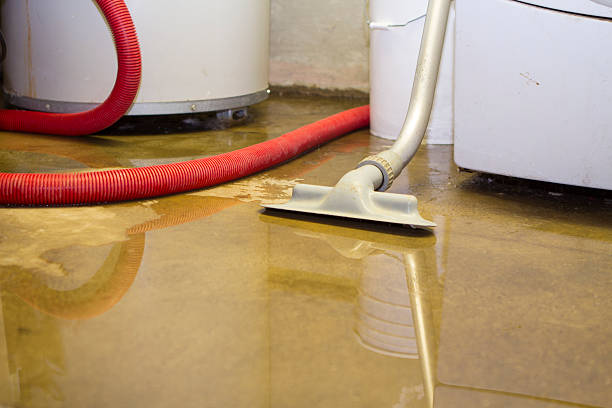 Best Commercial water damage restoration  in Louisa, KY
